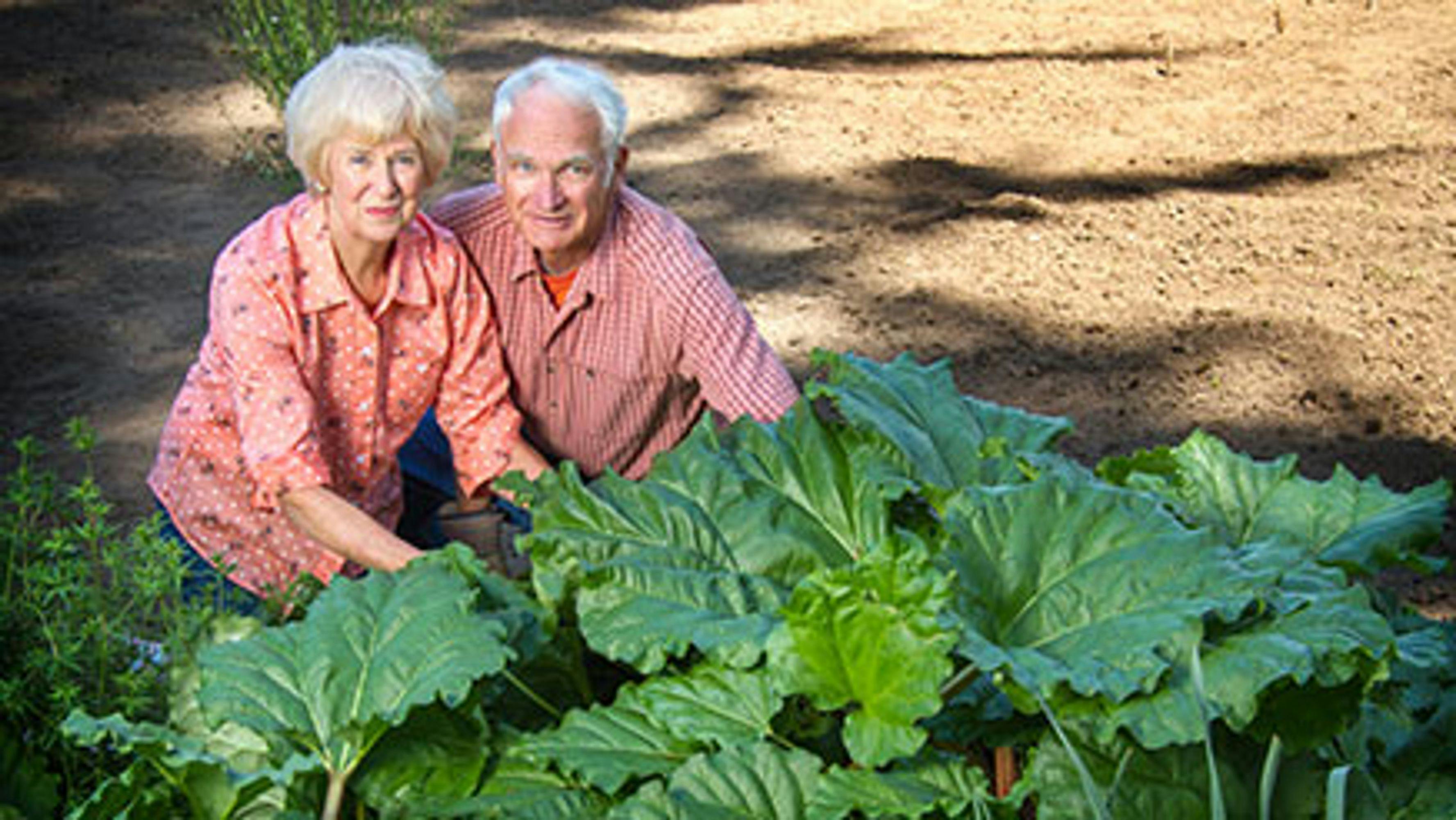 An elderly man and woman next to their crops